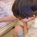 엔젤아쿠아펫가든 이미지