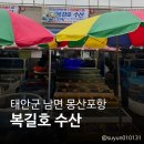 몽산포항 복길호 수산 실사 후기: 회포장부터 매운탕 밀키트 꿀팁까지 (태안 횟집/수산시장)