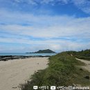 한림초등학교 | 제주비양도 조용한 섬 산책길 호니토와 코끼리바위 비양봉까지 걷는 감성여행