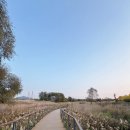 서구-23 | 인천 서구 드림파크 국화축제 기간 주차 포토존 먹거리 후기