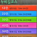 누비길6구간 | 100대명산(불야) 청계산(淸溪山) 등산 후기
