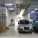 꿀굴비