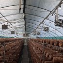 햇살농장 태양광 이미지