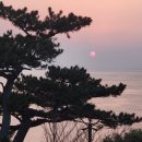 주식회사 그린기프트 이미지