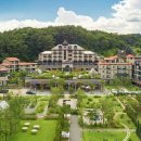 대학로동물병원 이미지