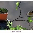 아름다운연출