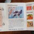 옹골씨푸드