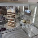 아이존팝 제주함덕점 | 두돌 아기와 강아지까지 함께한 3대 제주 여행, 함덕 오션뷰 카페 슬며시 후기