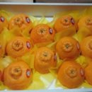 한라앤탐 이미지