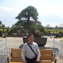 제주아트랜드 이미지