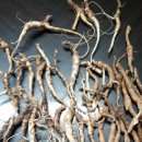 삼태기길 이미지