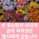 창원시립진해박물관 | 창원시립진해박물관(백범 김구선생님의 친필 유묵/근대 문화 해설서비스 안내)