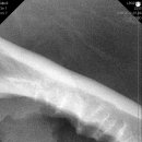 다올동물의료센터 망포점 이미지