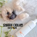 서린이네 | 강아지 피부를 위한 저자극 펫샴푸, 오버츄어 더마 서린 사용 후기