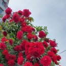 수요일 - 종로구 인사동길 36 | 수요일