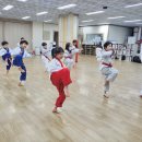 행복한 히어로 태권도 이미지
