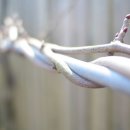 백운산장앞 이미지