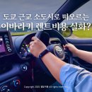 현내카 | 일본 이바라키 공항 도요타 렌트카 할인 1000엔 바우처