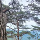 3.월악산국립공원: 만수봉 하산길 이미지