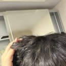 본루트 스토어 네이버블로그