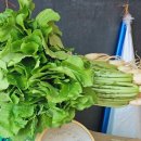 열무약국 이미지