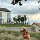 쾌남이용원 이미지