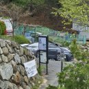 드림디포 울산울주점 | 울산 울주군 청량읍 미도리 내돈내산솔직후기 율리 돈까스와 모밀