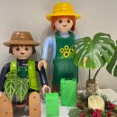 (주)그린허브 | 분말형 식물영양제 '그린부스터' 겨울철 관리 관엽식물 플랜테리어 선데이플래닛47