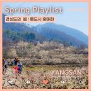 다목적광장1 | 새로워진 2024 원동매화축제, 직접 본 원동역에서 쌍포매실다목적광장까지!