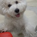 무한뽑기 이미지