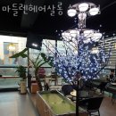 소사벌리더스하임 정문 | 비전동미용실 마들렌헤어살롱 소사벌점 가격 위치 영업시간