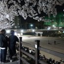 충훈2교 옆 이미지