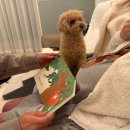 그림책이 살아있다(초1~3) | 서울시 엄마북돋움 책상자 후기 (신청 방법, 지원 대상, 수령 후기, 서울맘케어서비스, 월간 북돋움)