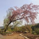 한옥(강산재) 이미지