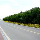 대륜동 법환포구 이미지