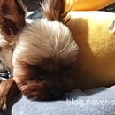 에스겔-푸름농장 이미지