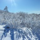1월9일(일)[07:00출발]강원 태백 함백산(해발1,573m) 은대봉 눈꽃산행 이미지