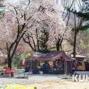달빛강가에서