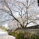 봄 호텔 이미지