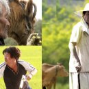 거북이 뿔났다 이미지