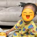 꿈샘어린이집 | 세종 꿈샘어린이집 별빛반(0세반) 선택시 고려사항