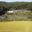 하빈농장 이미지