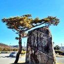 여주-1056 이미지