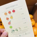 쥬쥬네 미깡밭 이미지