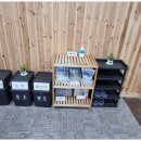 오행쑥뜸방 이미지