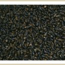 행복건강원 이미지