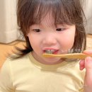 닥터노아치과의원 | 유아칫솔 유아 고불소 치약 세트 닥터노아