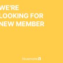 하이브메이트부동산중개 | 강남부동산 채용공고 하이브메이트 공인중개사 및 중개보조원 모집 2030 젊은 감각의 회사