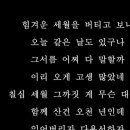 -제주댁 양 지은 미스트롯 💥1등- 이미지