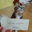미라클쉼터 이미지